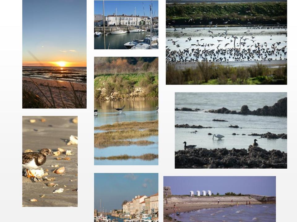Ile De Re, La Danae, Velos, Wifi, Possibilite Cuisine, Linge, Parking Gratuit Saint-Martin-de-Re Exterior photo